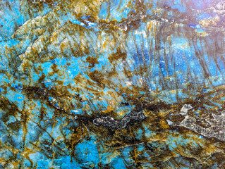 Autumn maple against the blue sky