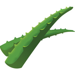 Naklejka premium Two Aloe Vera Leaves with Sharp Spikes in a Bright Green Color Isolated on a Transparent White Background