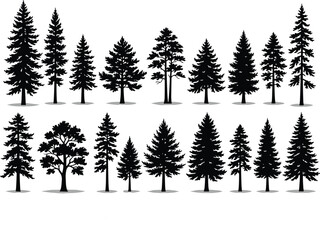 Conifer tree silhouettes, evergreen species comparison, black vector trees, stylized forest icons, botanical shape set, pine tree graphics, nature illustration pack, shadowed tree design