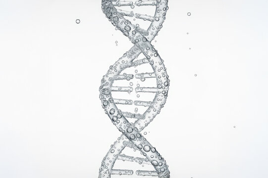 3D render of transparent DNA double helix structure formed from water and air bubbles on a white background, symbolizing science, genetics, and molecular purity