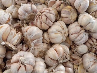 garlic on market