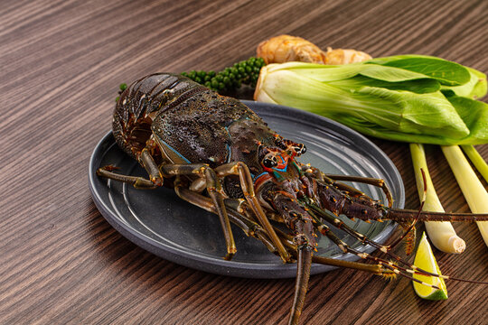 Raw fresh lobster for bowl