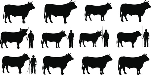 Cow and human silhouette vector set, black and white comparison icons, editable illustration for agriculture, livestock, farm, educational, design concept