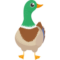 A Cartoon Mallard Duck With Green Head Brown Body And Orange Beak Standing On A Transparent Background