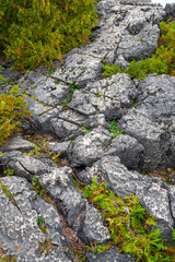 Bruce Peninsula National Park Canada, Cliffs and Crystal Clear Georgian Bay Waters
