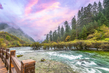 Misty forest morning along a wooden boardwalk beside a turquoise mountain river in Jiuzhaigou National Park, Sichuan, China. Tranquil autumn landscape under pastel pink sunrise skies.