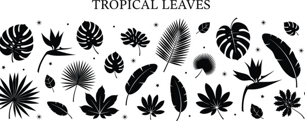 Tropical leaves silhouette collection, botanical foliage vector set, exotic jungle plants, black leaf shapes for nature, summer, decorative design themes
