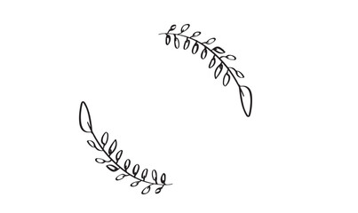 Leaf plant flora flower black color object drawing design frame pattern picture mockup empty banner botanical nature element doodle wedding palm organic graphic vintage image mockup blank frame design