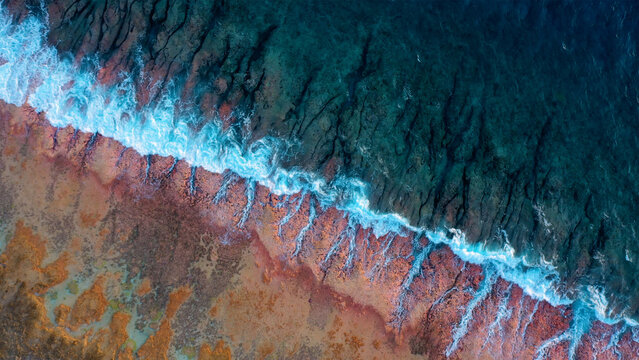 Aerial view of turquoise waves crashing against the coral reef's edge, where the deep blue sea meets the textured, colorful shore, Rangiroa, Tuamotu Islands, French Polynesia.