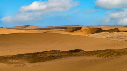 Le désert du Namib