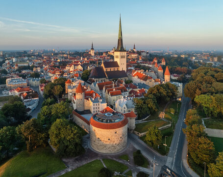 Aerial view of ancient stone towers and red-tiled roofs nestled among vibrant green trees, crowned by the soaring spire of St. Olaf's Church, Tallinn, Estonia.