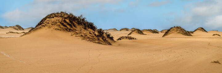 Le d&eacute;sert du Namib