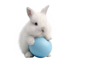 cute white bunny with blue easter egg on white background.