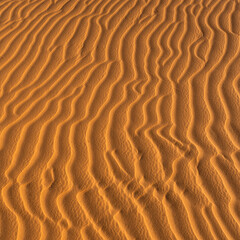 Golden desert sand dunes ripple under the sun