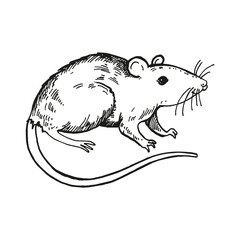 vector standing cartoon rat with a long tail, hand drawn black and white illustration of rodent, animal theme in monochrome, engraving ink sketch for fairy tale, fauna pictures, fairy tale
