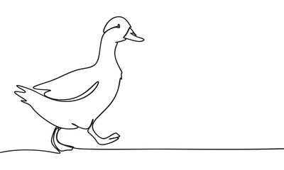 Continuous Line Drawing of a Walking Duck