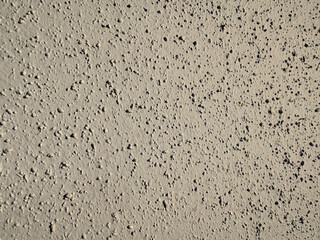 A rough, textured stucco wall surface with many small bumps is bathed in bright, even light, creating a granular pattern.