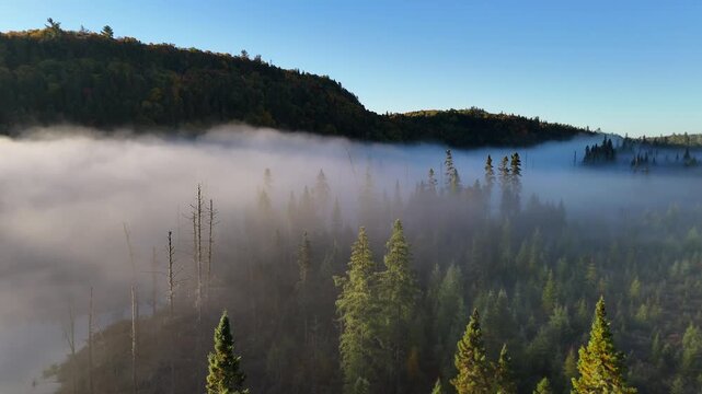 Aerial view of autumn forest and mountains in vivid colors with morning fog in Mauricie, Quebec, Canada. Soft sunlight illuminates the colorful foliage over peaceful wilderness.
