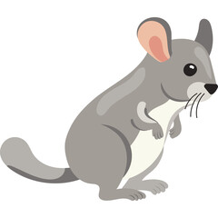 Chinchilla Rodent with Gray Fur Standing Tall with Large Ears and Whiskers on a Transparent Background Detailed Illustration