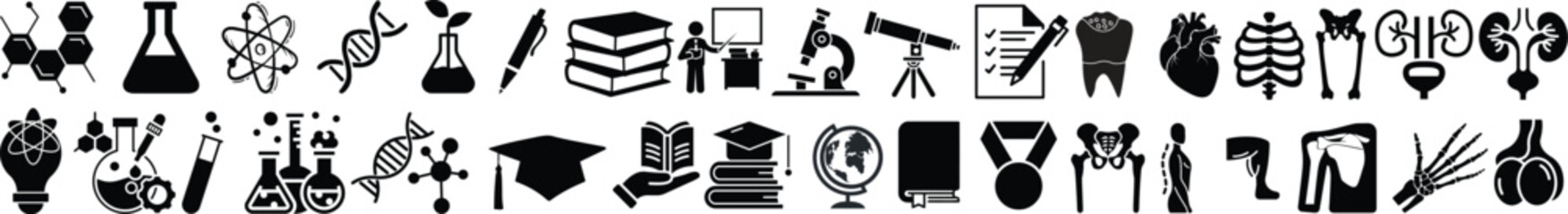  Education and Anatomy glyph icon set. Vector pictograms of body organs, bone, skeleton, spine, eye, ear, nose, mouth, lips, hand, foot, stomach, kidneys, bladder, black sign silhouette illustration. 