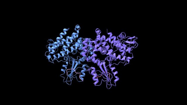 Structure of c-Cbl-ZAP-70 peptide complex. Animated 3D cartoon and molecular surface models, pdb 2y1n, black background.