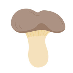 ひらたけの主線無しイラスト