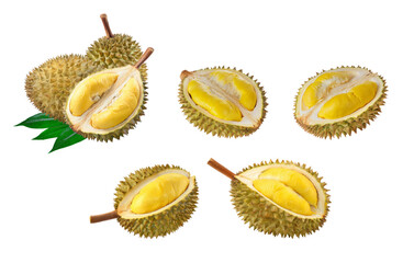 durian fruit set, isolated on white background