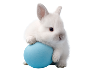 cute white rabbit with blue easter egg on transparent background