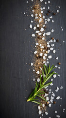 Salt, Pepper, and Rosemary on Dark Background with Copy Space