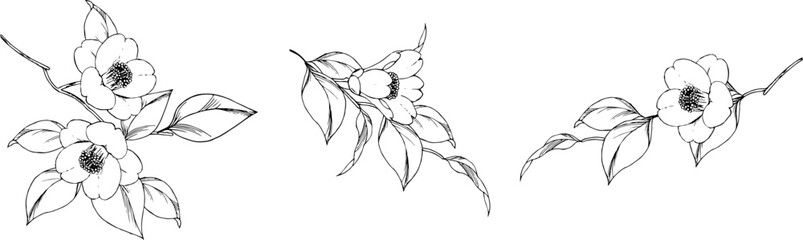 ペンで描いた椿の枝のイラスト2