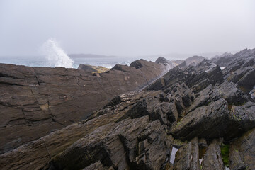 Russia, Murmansk region, Rybachy Peninsula. Cape Nemetsky, Barents Sea. August 2025