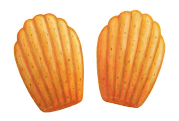 マドレーヌのイラスト