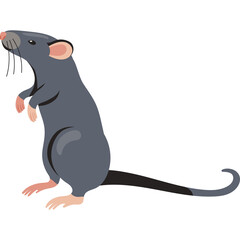 Gray Rodent Standing Tall with Pink Paws and Tail on Transparent Background