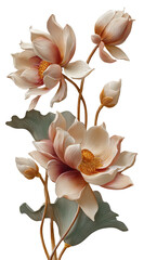 Elegant flowers with peach petals and green leaves on dark backdrop
