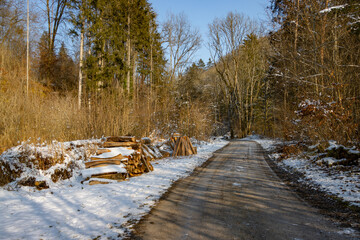 Peaceful Snow Covered Winter Forest Trail with Stacked Firewood in Daylight