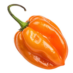 Habanero pepper PNG (transparent)
