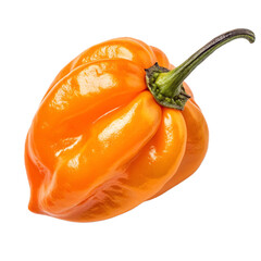 Habanero pepper PNG (transparent)
