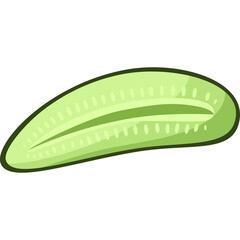 Illustration of a Half Cut Cucumber Showing Seeds and Pulp with a Light Green Color Against a White Background