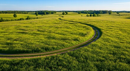 Scenic winding dirt road through lush green meadow under a clear blue sky.