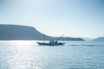 海