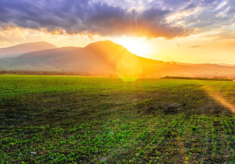 beautiful green evening meadow with bloom flowering field during amazing spring sunset among hills...