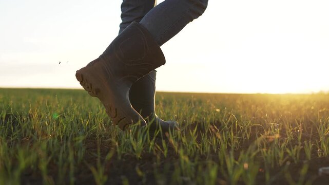 Walking boot through sprouting grass sunrise, denim pant leg visible, young field and soil detail, sunlight glint on wet blade, farm landscape suggestion, spring growth and closeup of stepping motion