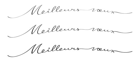 TEXTE MEILLEURS VOEUX