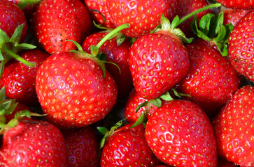 Fresh Ripe Strawberries Close-Up strawberry background