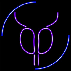 prostatitis neon sign, modern glowing banner design, colorful modern design trends on black background. Vector illustration.