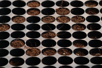 A close-up pattern background of a black plastic seedling tray with cells filled with soil, ready for planting seeds.