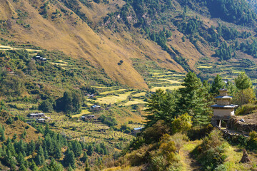 Terraced Fields And Ancient Stupa