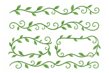 Green vine leaves and curly plant branches, creating borders, dividers, and decorative elements on transparent background