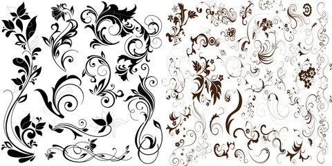 Floral abstraction set