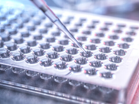 Pipette in use during clinical trial for genomics and cancer research